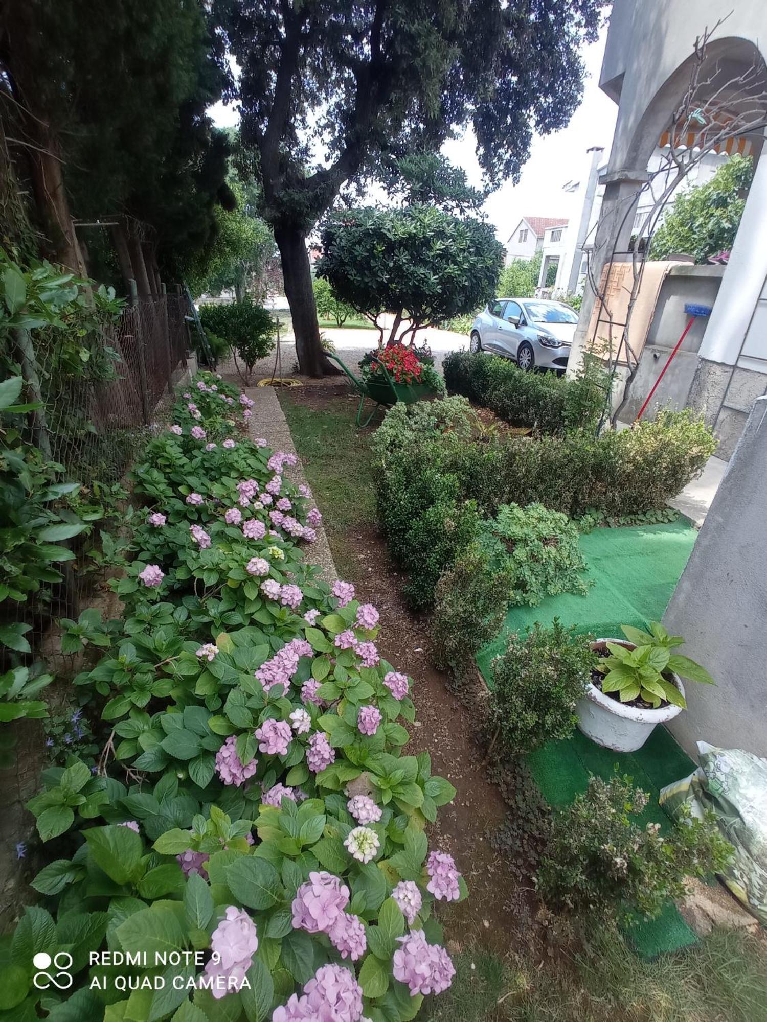 Apartmani Gaga Бибине Екстериор снимка